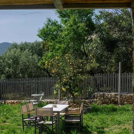 Vlachata Nikos & Vassilis Apartments Kefalonia מראה חיצוני תמונה