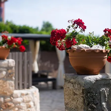 Vlachata Nikos & Vassilis Apartments Kefalonia מראה חיצוני תמונה
