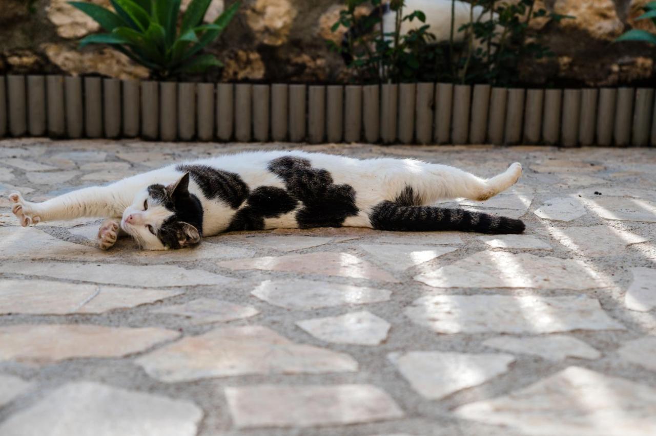 Nikos & Vassilis Kefalonia Vlachata